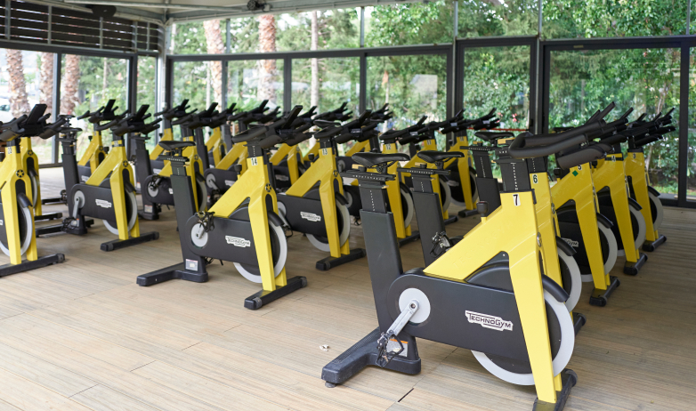 Body slim bike